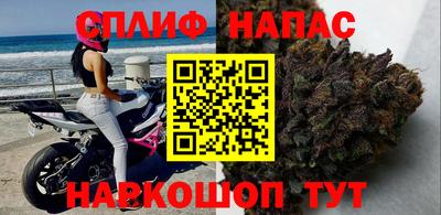 индика Коммунар